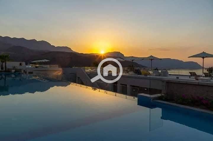 8 photo_2025-02-01_22-53-05. jpg