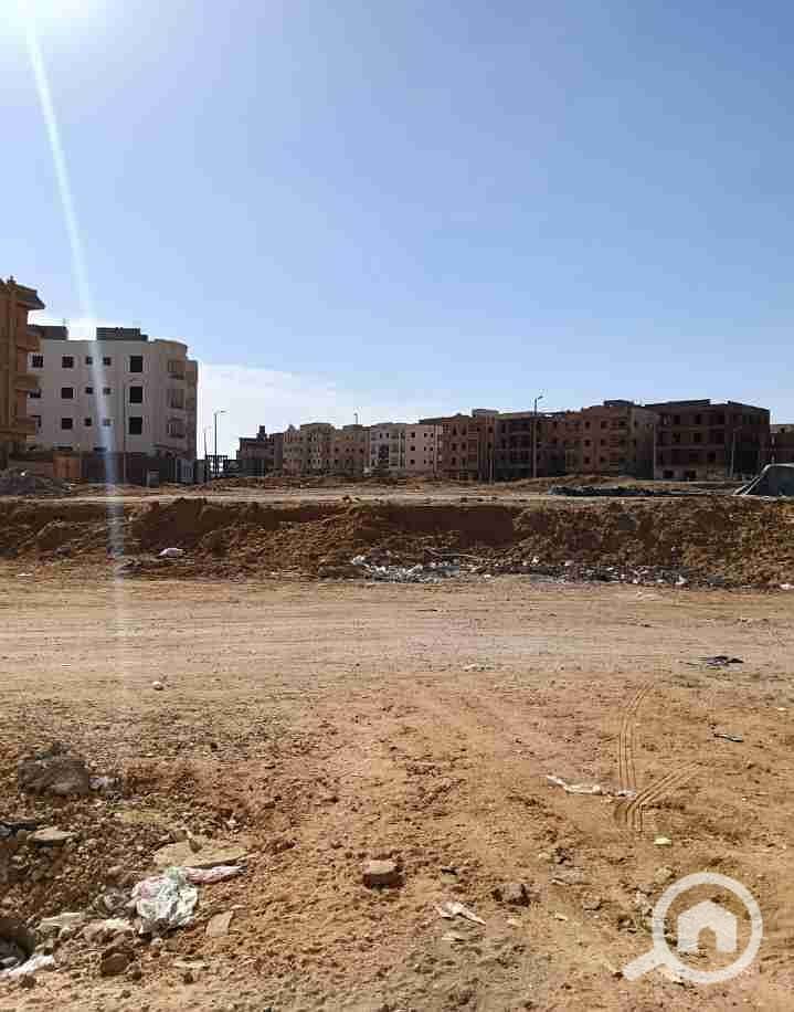 6 IMG_٢٠٢٥١٢٢٣_٠٠١٠٥٨. jpg