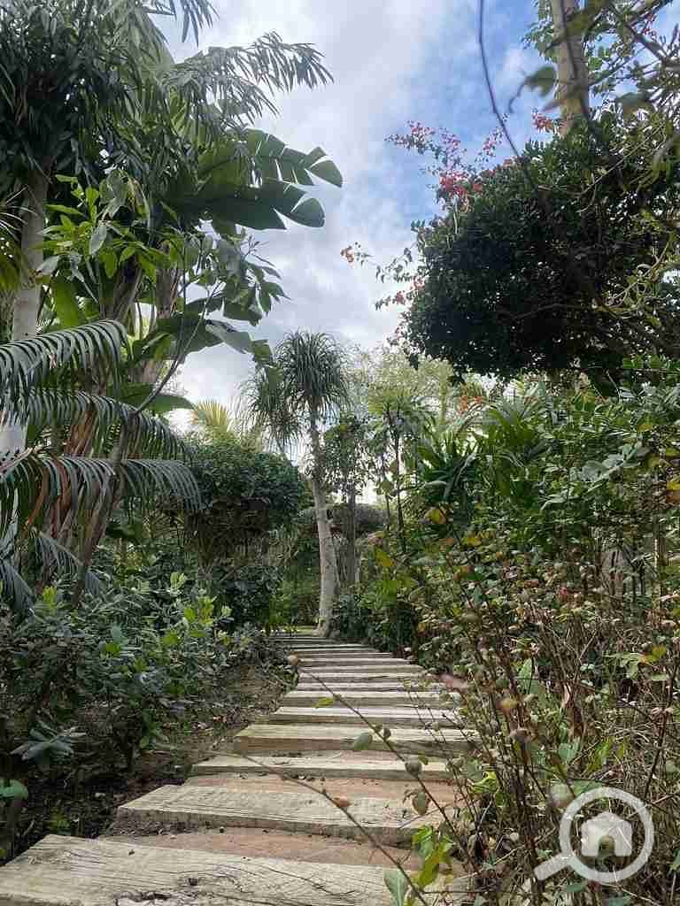 6 IMG-20251118-WA0567. jpg