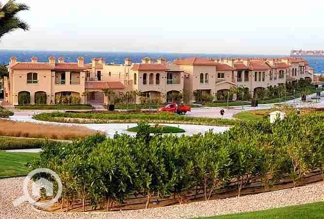 2 2377063-dd862o. webp