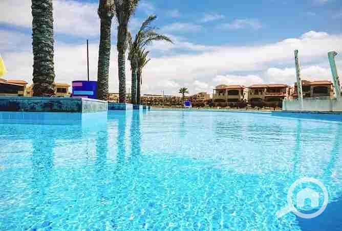 7 2377063-1ed2do. webp