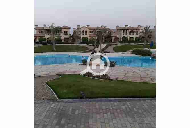 8 2377063-f0944o. webp