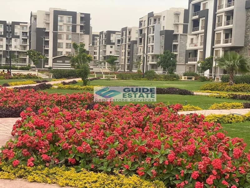 11 481192258_952010587075687_751936194612119602_n. jpg