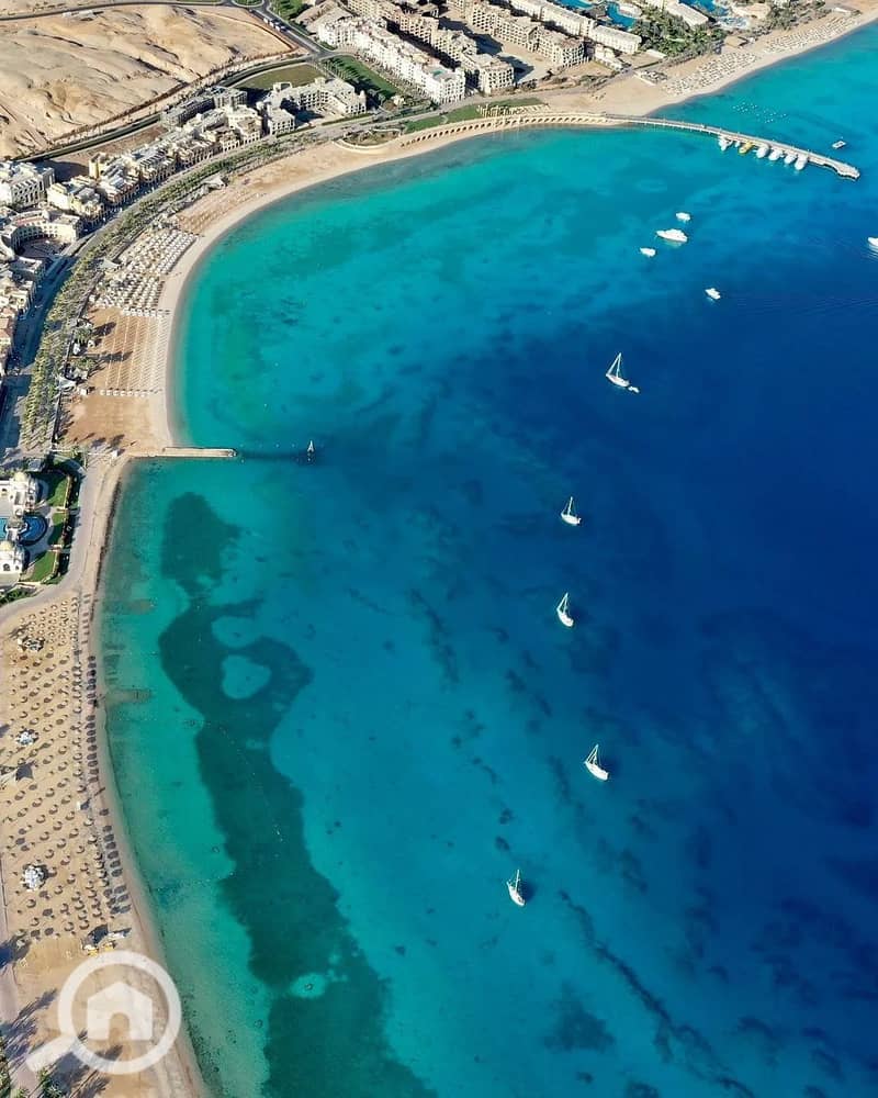 4 experience. sahlhasheesh_1724174834006. jpeg