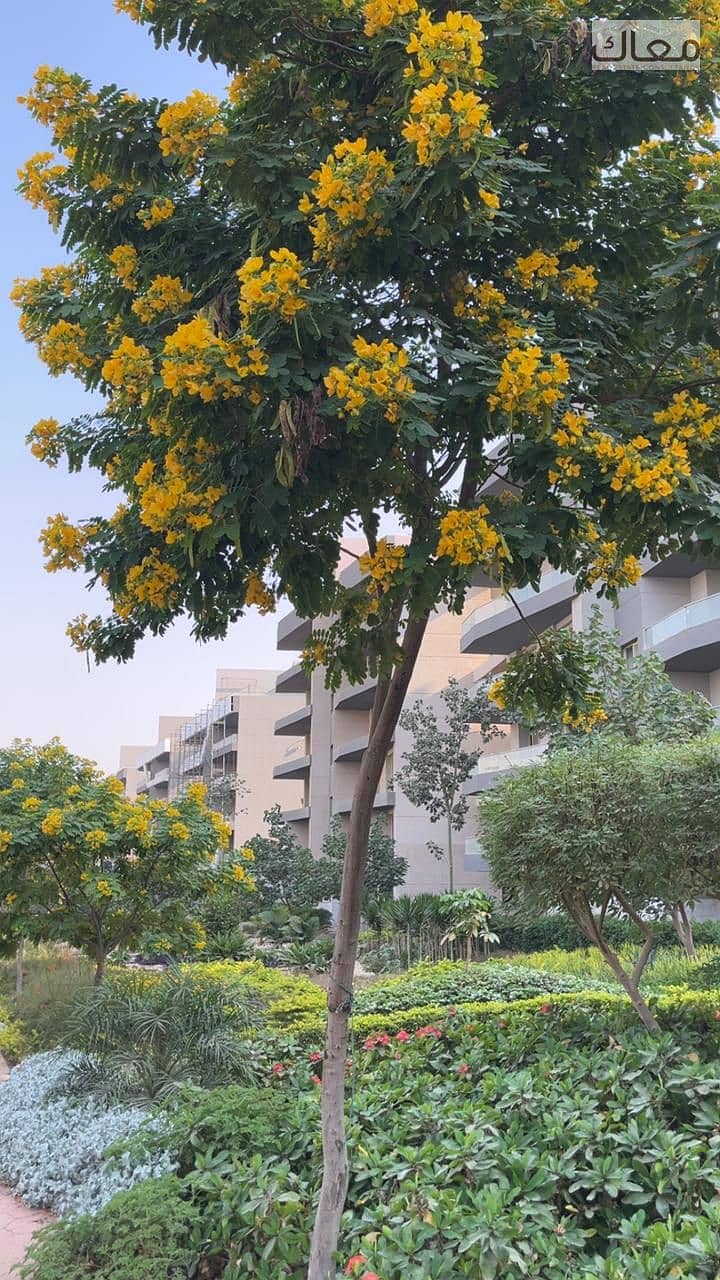 4 3bdd82b2-703d-45f2-95cb-a349cc412e69. jpeg