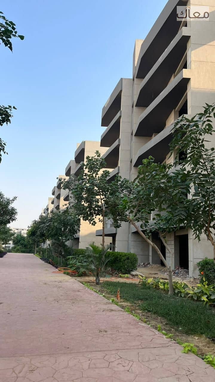 11 731d9eac-1ebc-484b-a8ed-a2c50c353767. jpeg