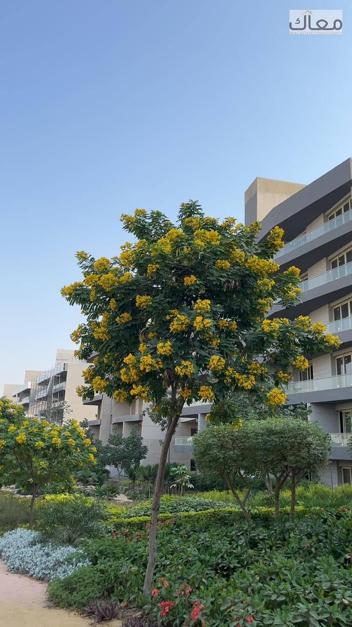 13 5147a0ab-b019-48c0-97ab-a5cd792ac70b. jpeg