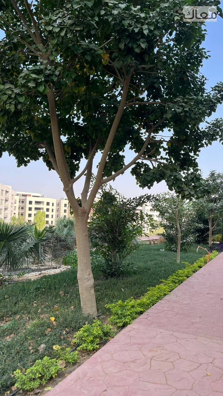 16 11080067-9d1c-44c9-82b6-69b19846ac55. jpeg