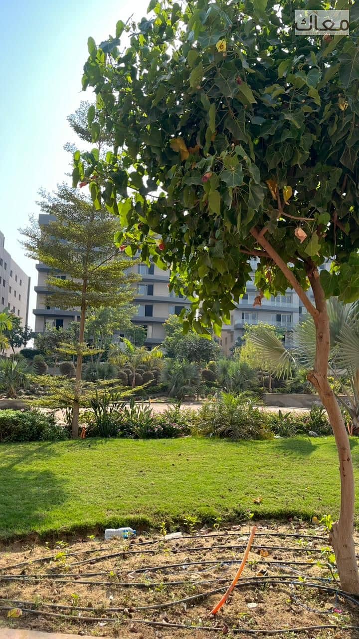 20 de7550b0-a9ac-4ed9-8fc3-9f268a091405. jpeg