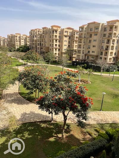 3 Bedroom Apartment for Rent in Madinaty, Cairo - 57bc915b-64ce-4f91-a9a3-9fd332b39fcf. jpg
