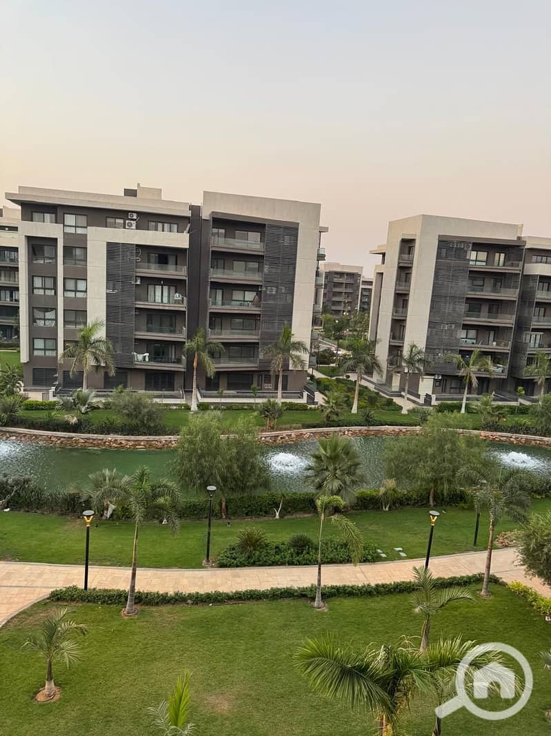 4 ad0a6c11-e843-4110-8bd1-e2257d1a7d7d. jpg