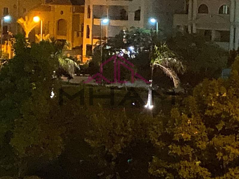 13 5929062998079114597. jpg