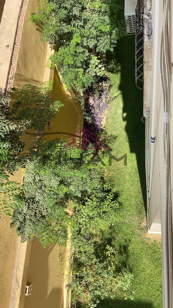 20 5929062998079114605. jpg