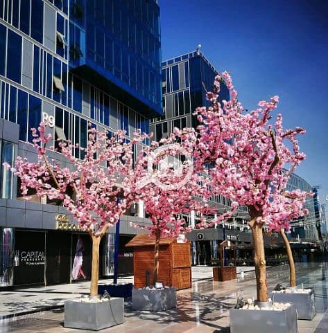 9 Screen Shot 2024-12-23 at 11.34. 50 AM. png