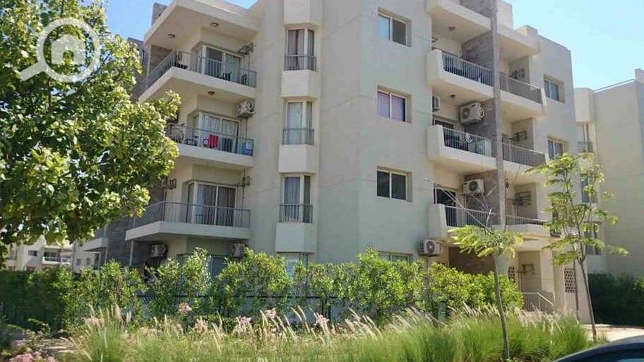 3 WhatsApp Image 2025-10-07 at 4.45. 49 PM (3). jpeg