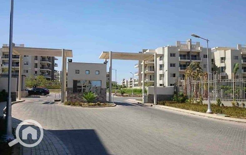 4 WhatsApp Image 2025-10-07 at 4.45. 49 PM. jpeg