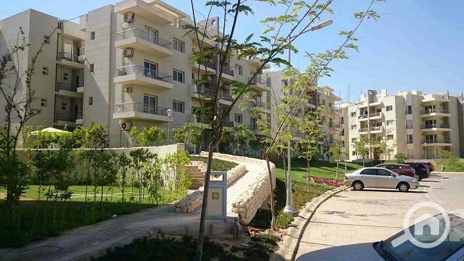 5 WhatsApp Image 2025-10-07 at 4.45. 50 PM (1). jpeg