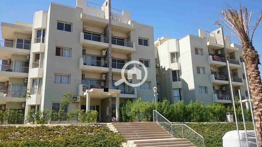 6 WhatsApp Image 2025-10-07 at 4.45. 50 PM (2). jpeg