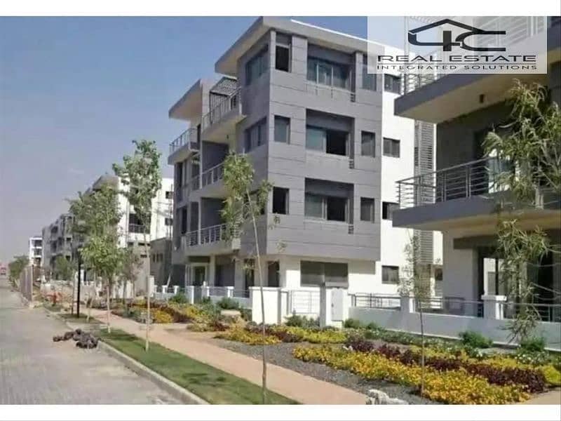 10 6313538-6071fo. png