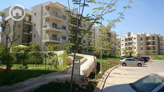 3 Bedroom Apartment for Rent in Sheikh Zayed, Giza - WhatsApp Image 2025-12-03 at 12.21. 57 PM (1). jpeg