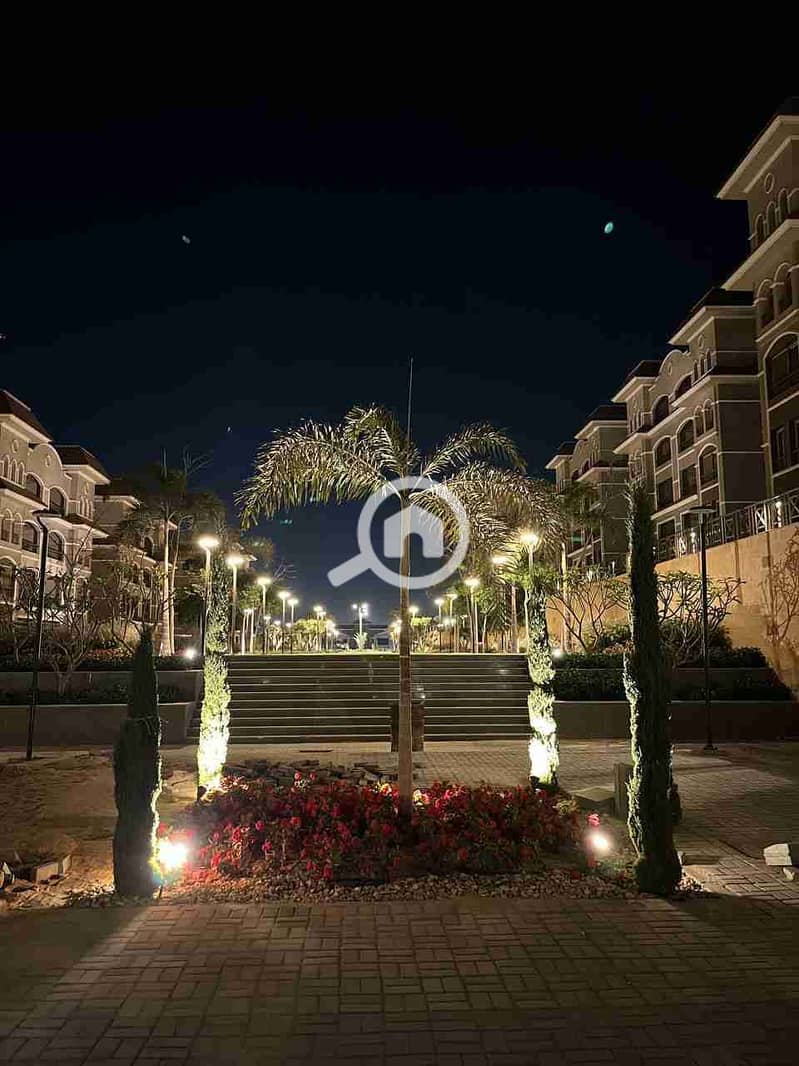 1000202524. jpg 1000202524. jpg