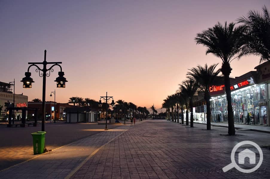 4 youssef-affifi-road2. jpg