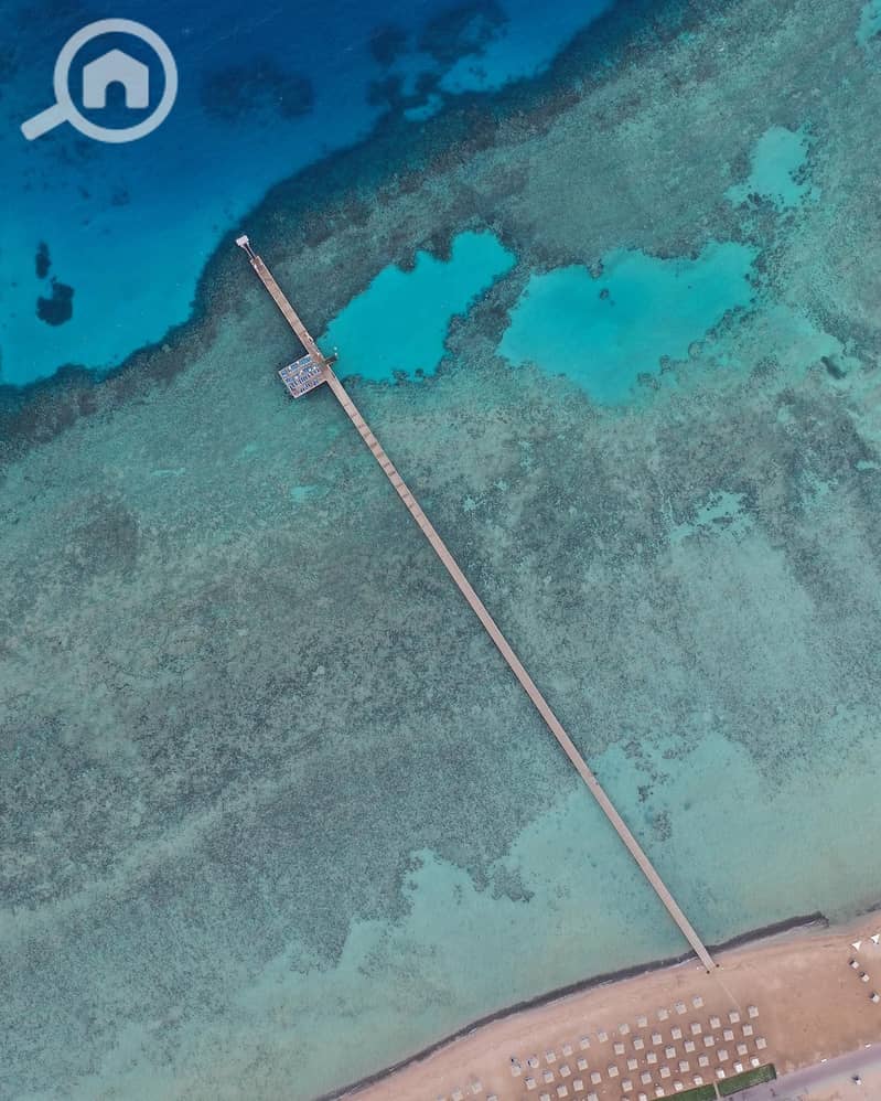 5 sahlhasheesheg_1724173322794. jpeg