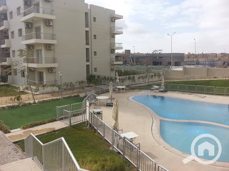 6 12573836_10154010492196454_1052478313866882010_n. jpg