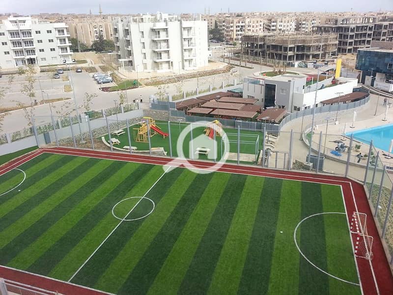 7 12541046_10154010492821454_5152696616114511086_n. jpg