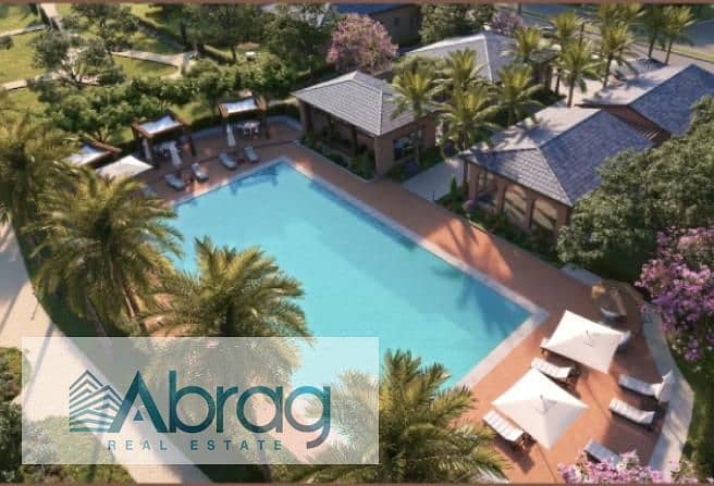 11 8433437-d55b0o. jpg