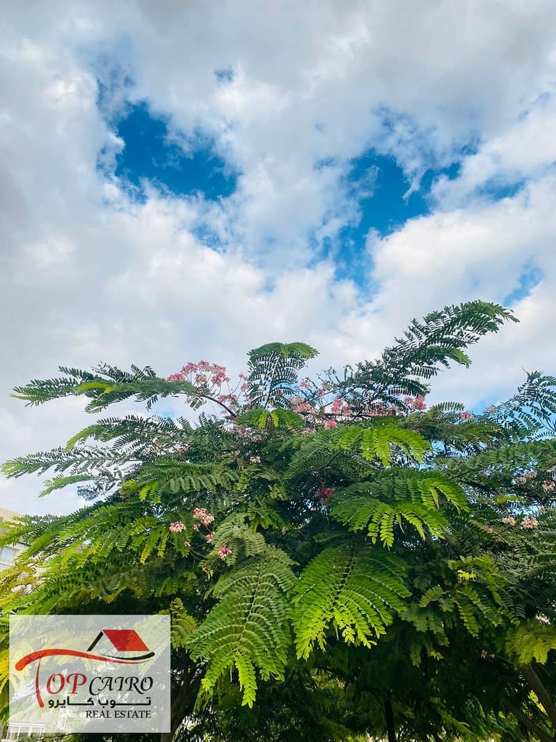 8 IMG-20251106-WA0264. jpg