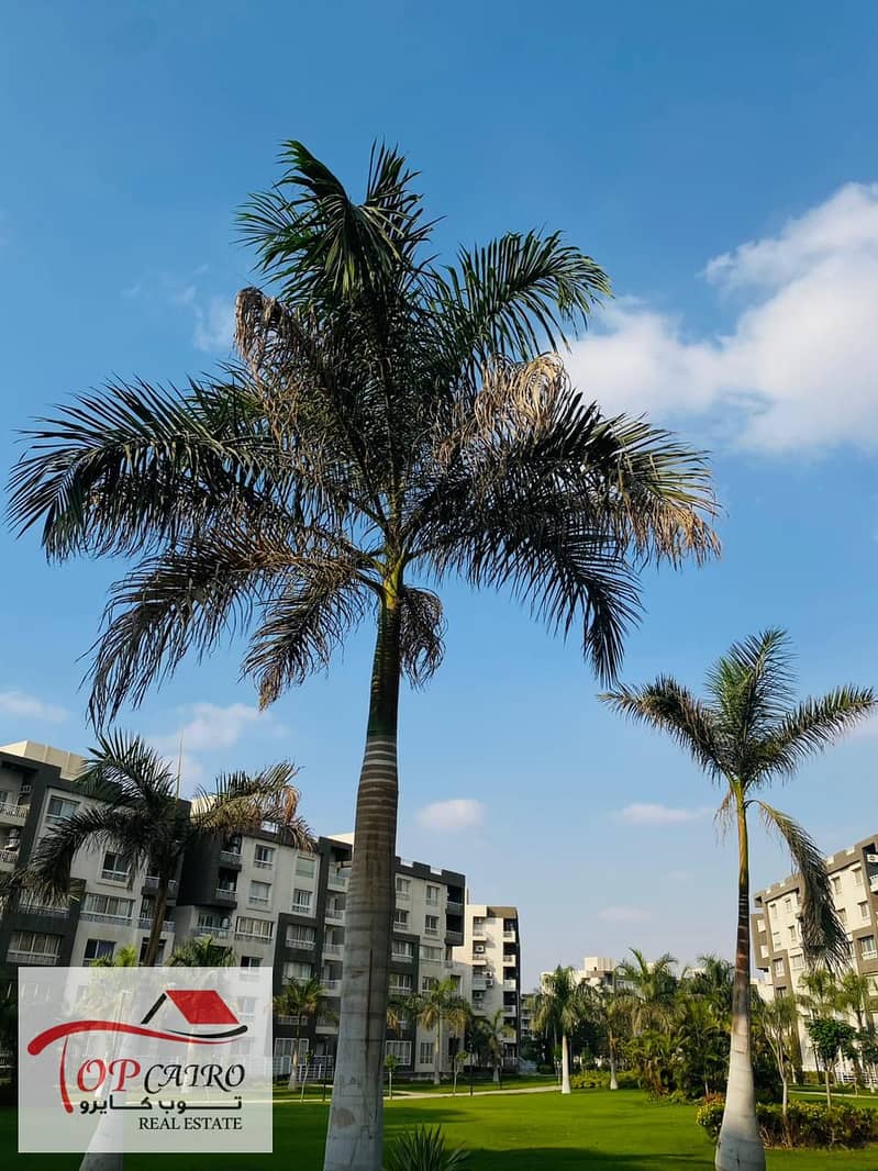 13 IMG-20251111-WA0317. jpg