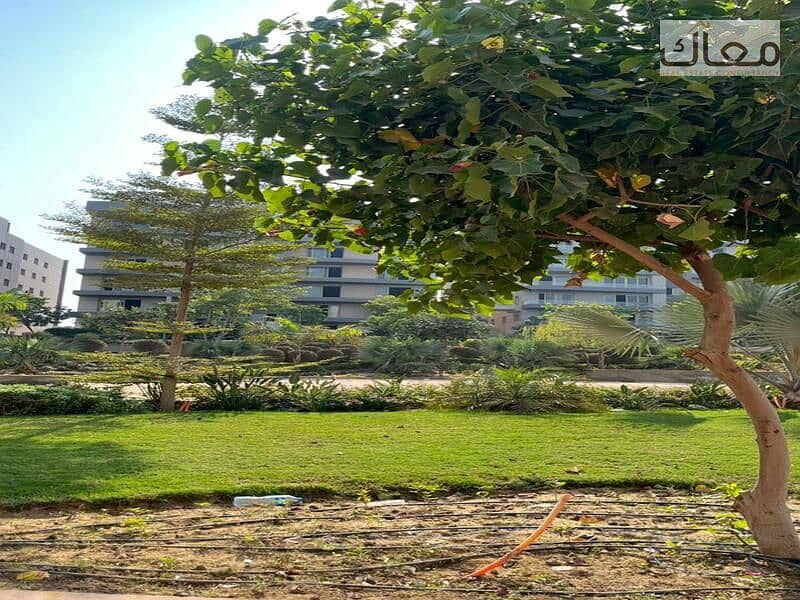 5 WhatsApp Image 2025-12-20 at 4.59. 36 PM. jpeg