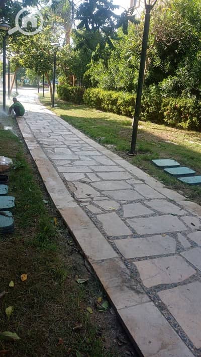 3 Bedroom Apartment for Sale in Madinaty, Cairo - WhatsApp Image 2025-12-22 at 5.31. 38 PM (2). jpeg