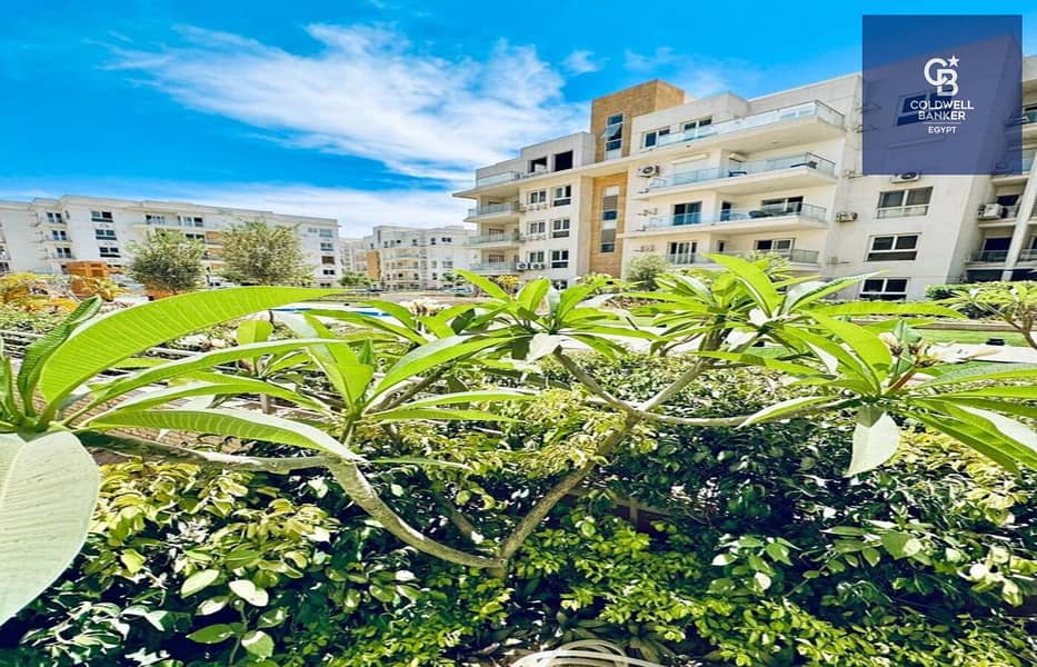 10 WhatsApp Image 2025-12-17 at 6.29. 34 AM (3). jpeg