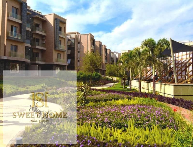 14 96084347_363323994623993_4493392693426126848_o. jpg