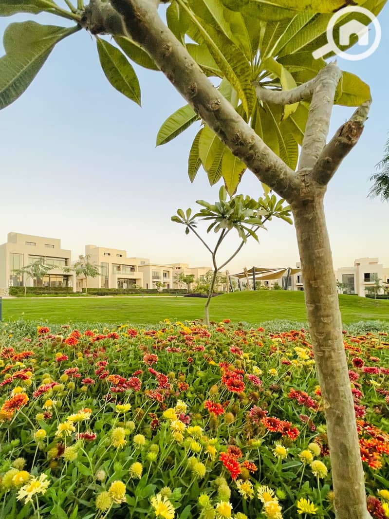 5 IMG-20241211-WA0010. jpg