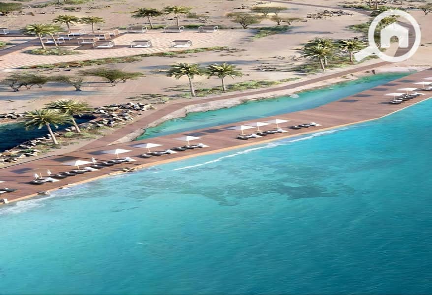 5 photo_2024-02-27_07-58-06. jpg