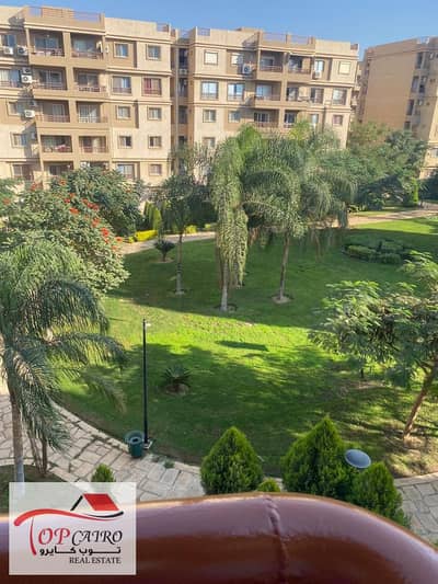 3 Bedroom Flat for Rent in Madinaty, Cairo - WhatsApp Image 2025-12-23 at 11.11. 40 AM. jpeg
