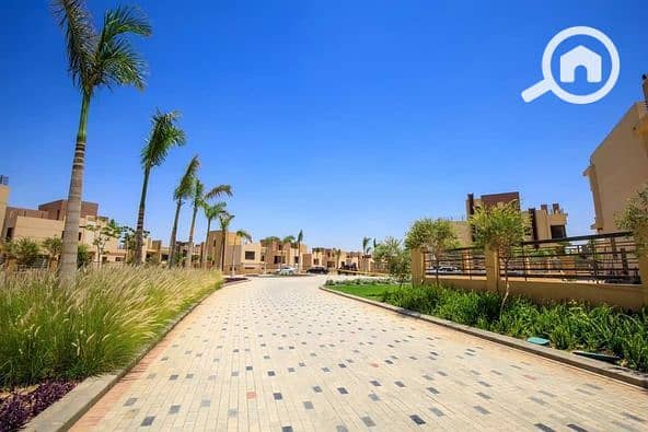 3 457070379_1223539155621491_4325972435720557000_n. jpg