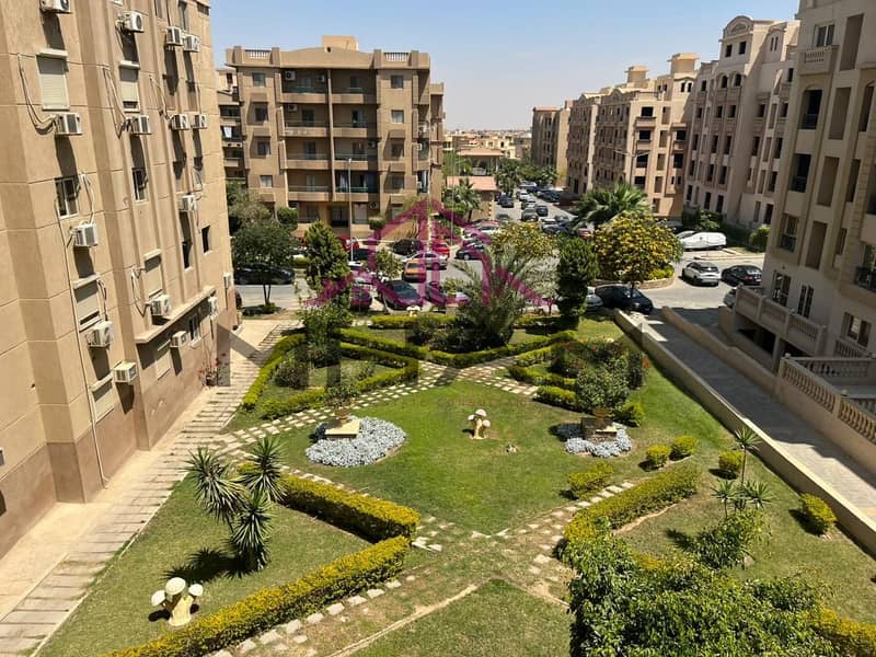 6 5929062998079114456. jpg