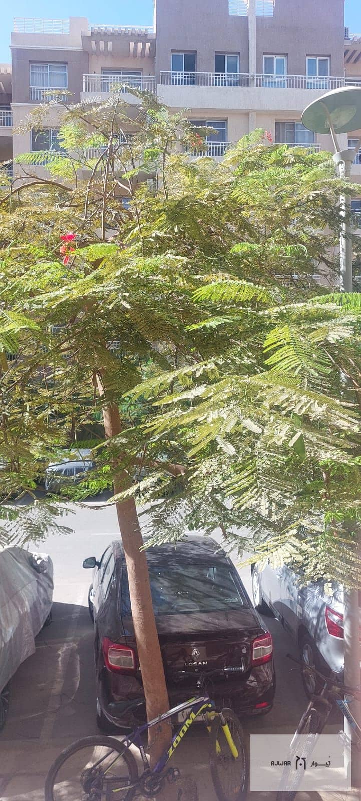 8 8d9bfd2e-f6e7-4d20-95e2-904dfa5553f5. jpg