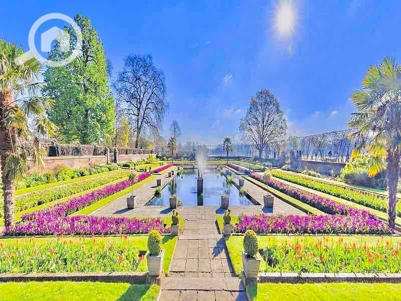 3 d5f33fcd-6dff-490f-9141-7070a21ec3a8. jpg