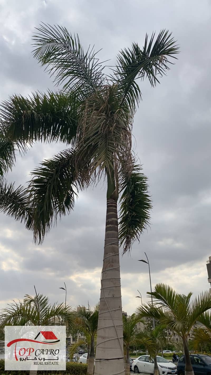 12 IMG-20251106-WA0246. jpg