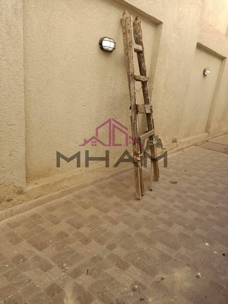 44 5931571134425926765. jpg