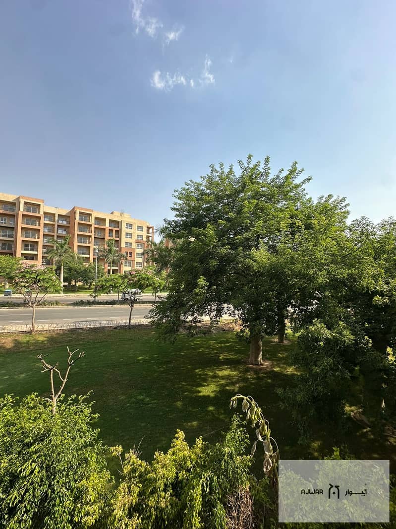 12 f4998643-8bc9-48d1-b27a-9385b47b5372. jpg