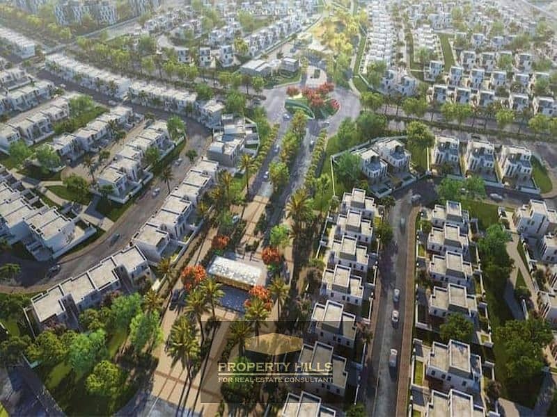 10 الشيخ-زايد-2. jpg