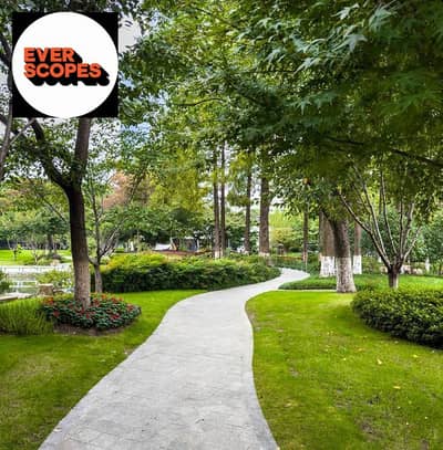 3 Bedroom Apartment for Sale in New Cairo, Cairo - WhatsApp Image 2025-11-27 at 5.43. 19 PM. jpeg