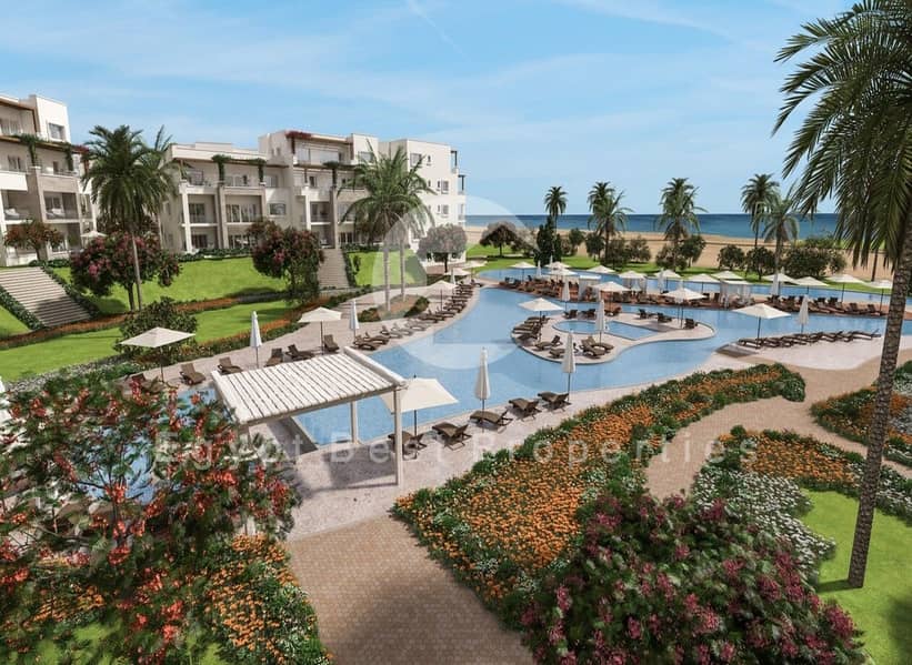 12 de08d9f5-c0f0-4851-bd2c-26df487ebf73. jpeg