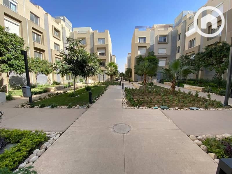 3 597390460_122243335904084594_3578224919791515705_n. jpg